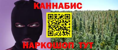 тгк Камышлов