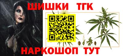 тгк Камышлов